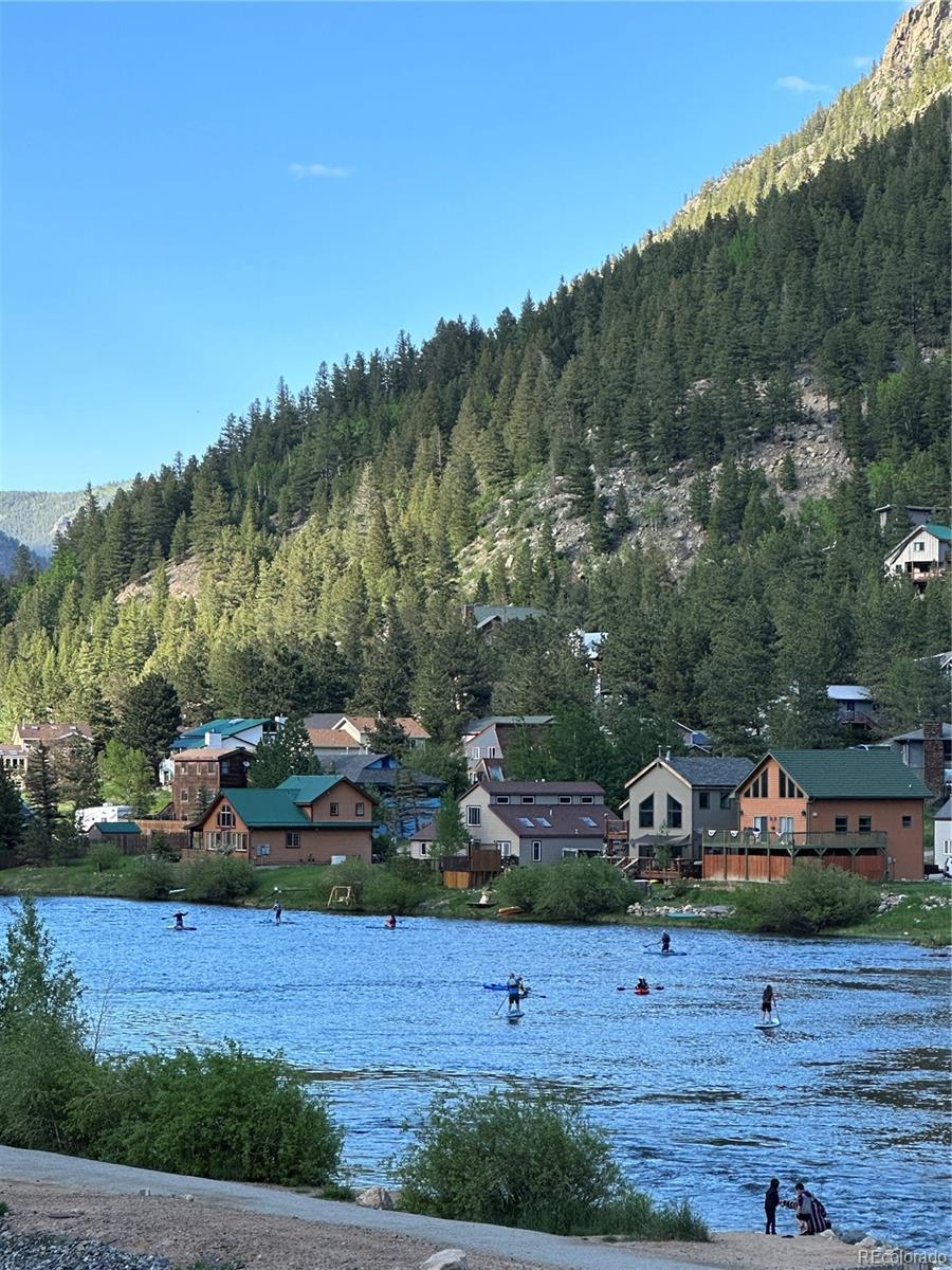 1890 Argentine St #D203, Georgetown, CO 80444