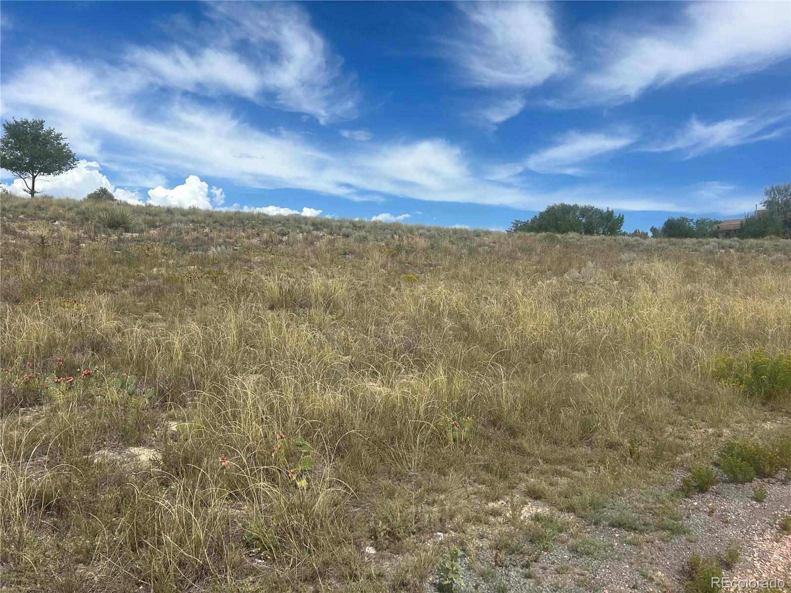 213 W Palomar Pz, Pueblo West, CO 81007