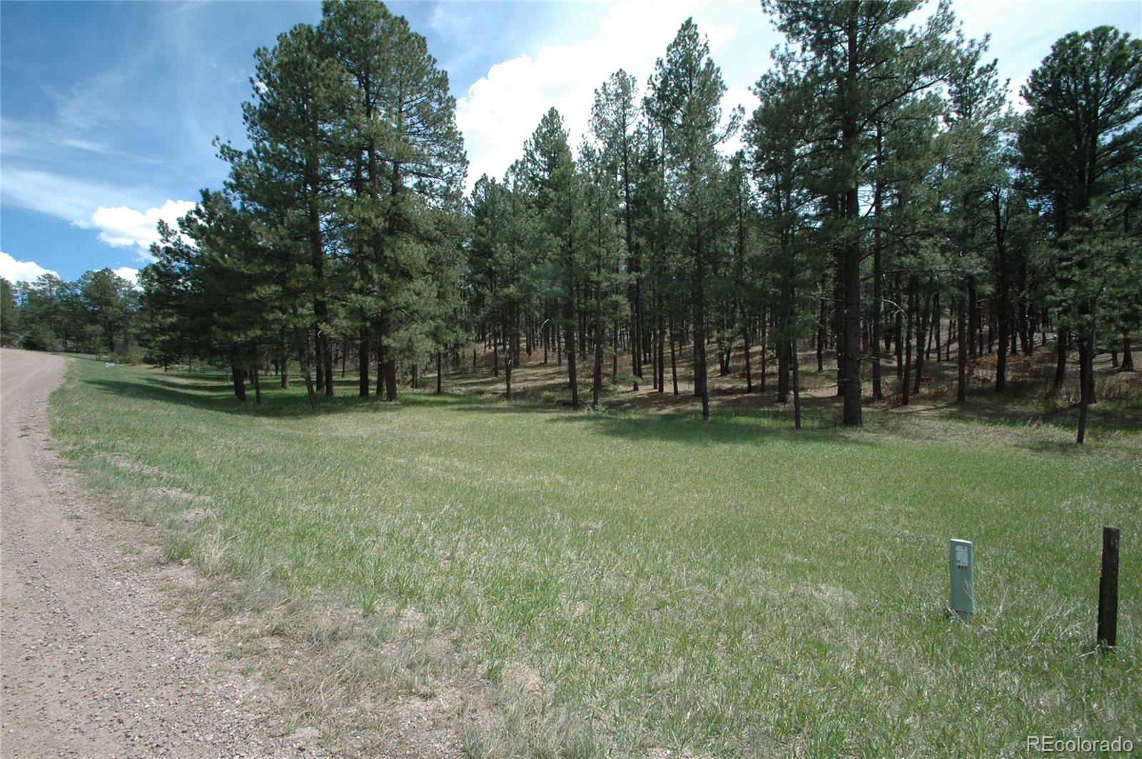 856 Woodridge Rd, Franktown, CO 80116