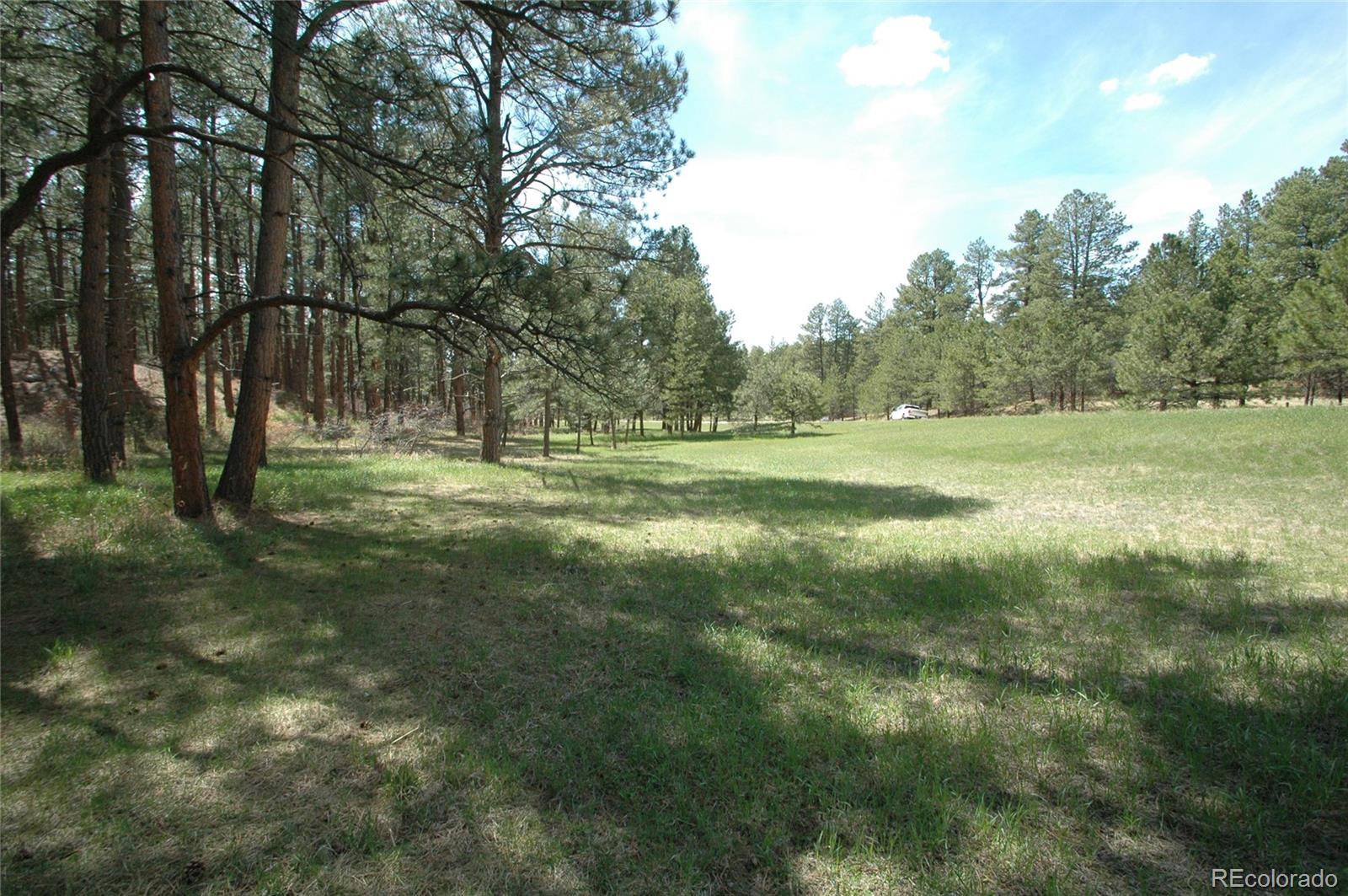856 Woodridge Rd, Franktown, CO 80116