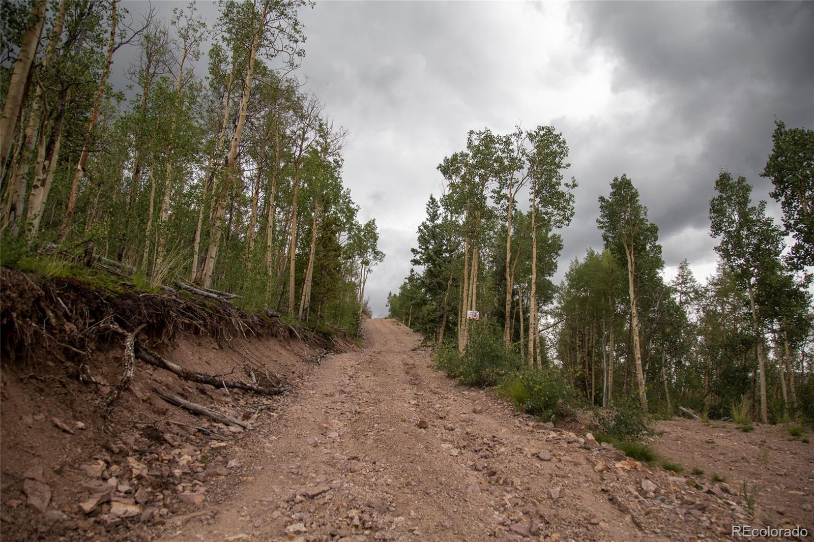 Tbd Forest Rd 503, Creede, CO 81130