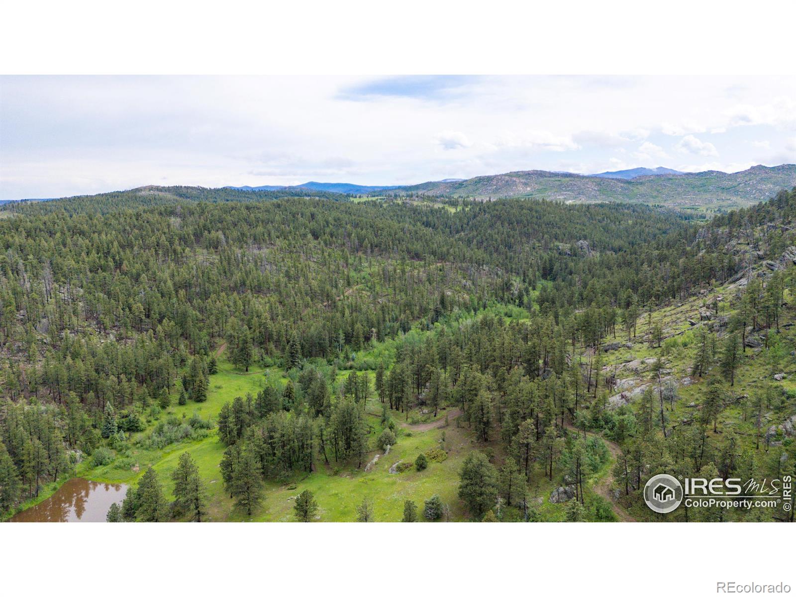0 Old Flowers Rd, Bellvue, CO 80512