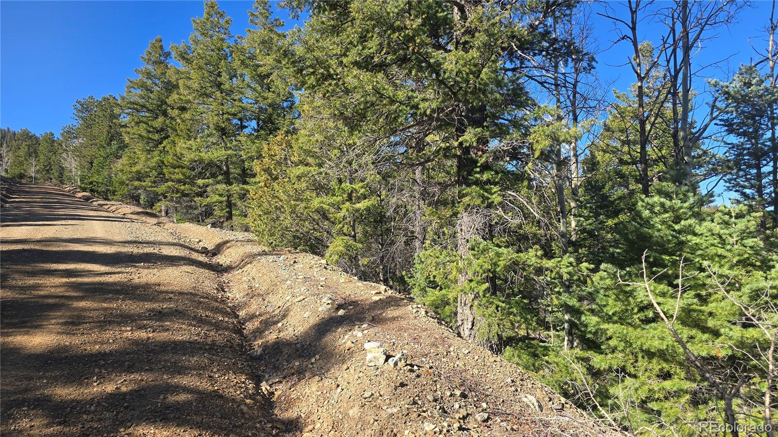 Lot 6034 Wood Rd, San Luis, CO 81152
