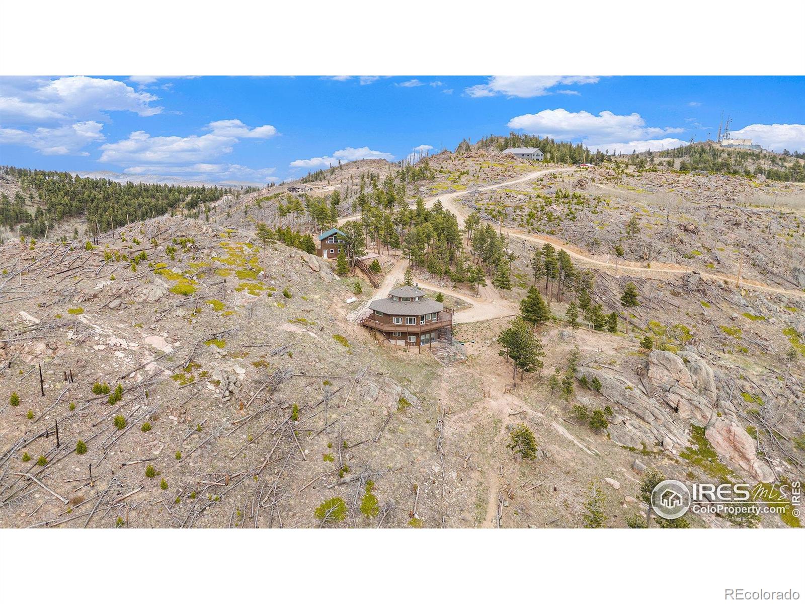 552 Blue Grouse Ln, Bellvue, CO 80512