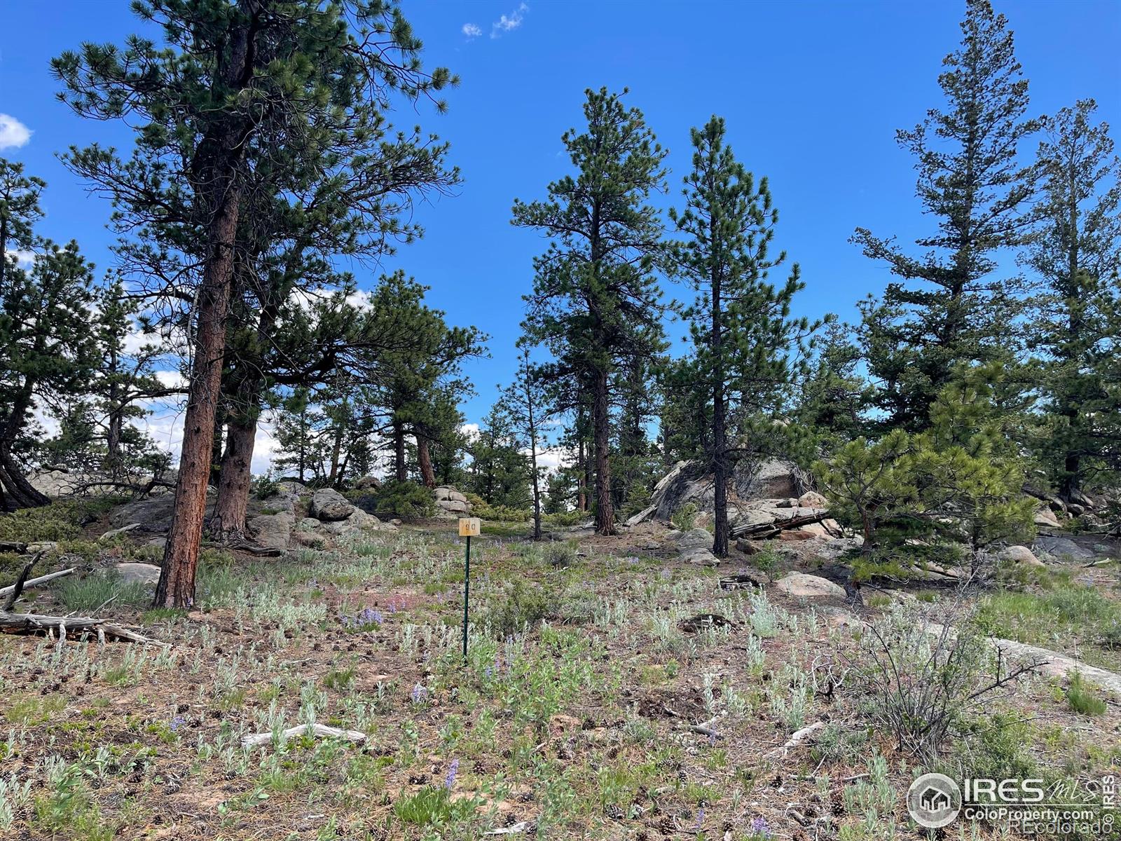 3020 Lake Arapahoe Ct, Red Feather Lakes, CO 80545