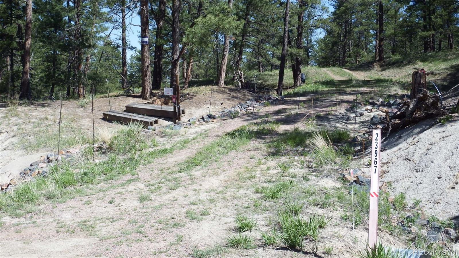 23967 High Timber Ln, Agate, CO 80101