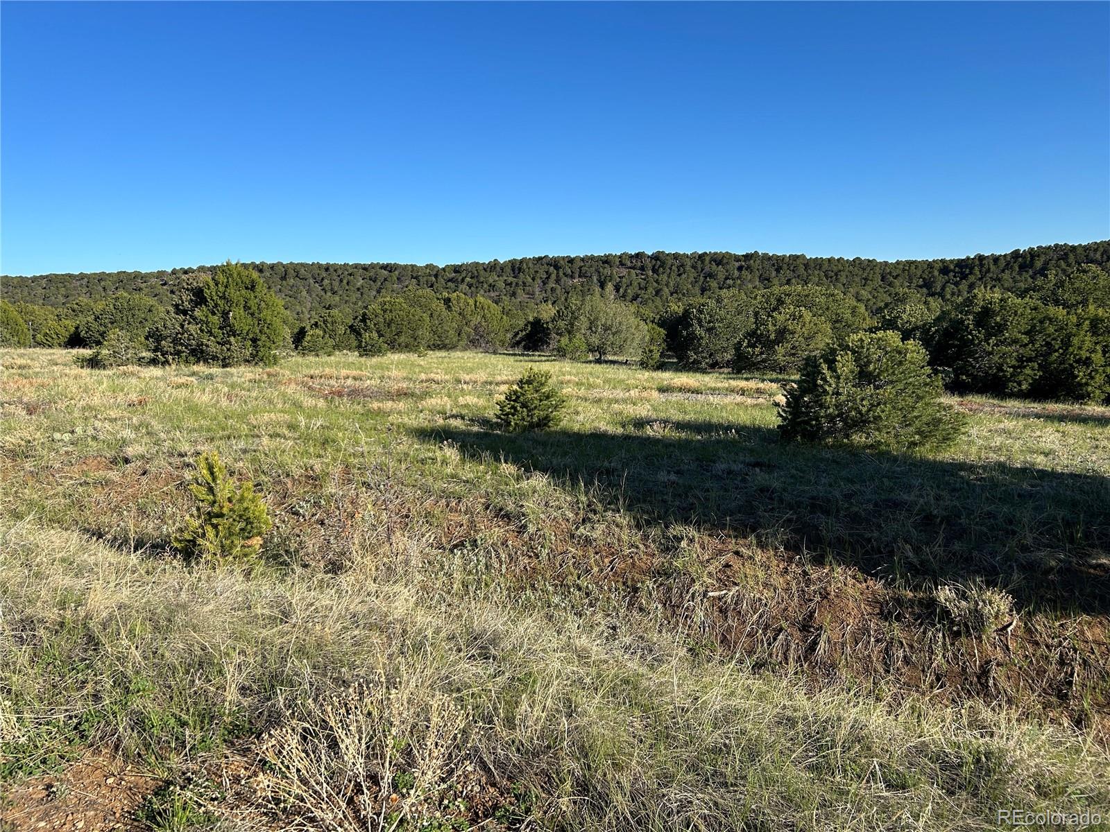 Lot 165 Silver Spurs Ranch Lot 165, Walsenburg, CO 81089