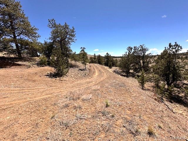 2972 Fitzsimmons, Hartsel, CO 80449