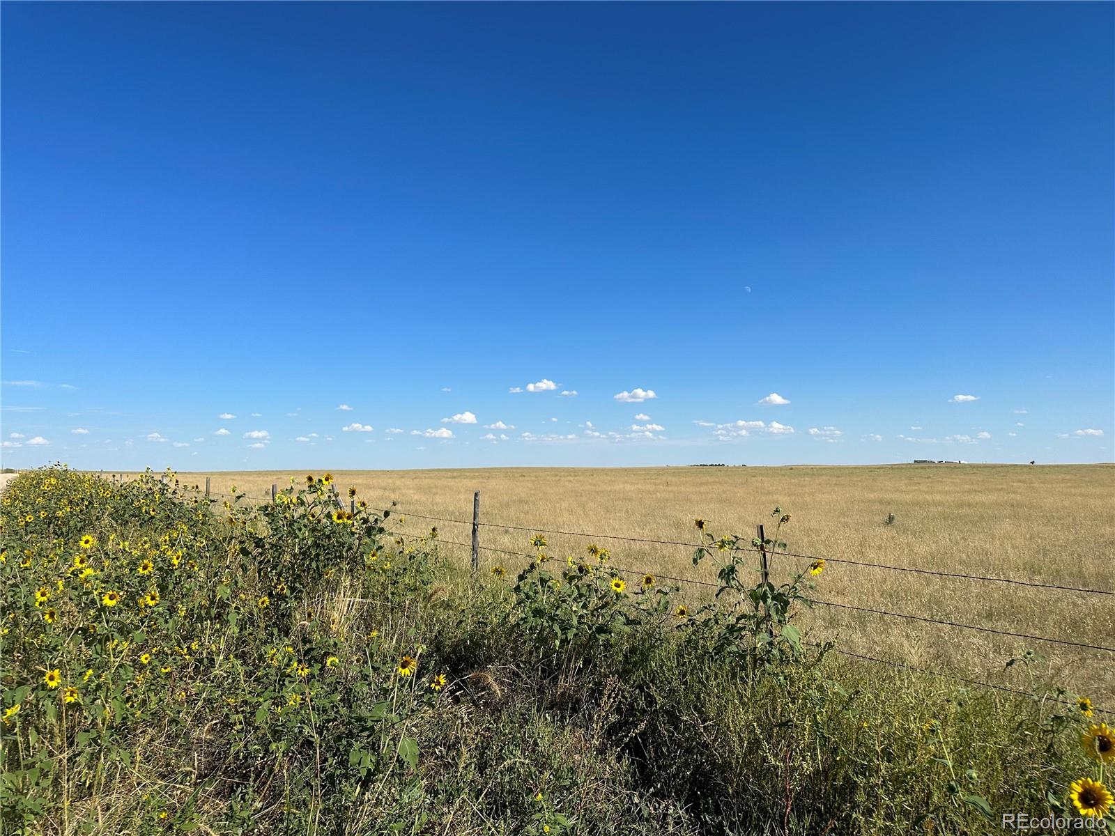 Bowen Rd, Rush, CO 80833