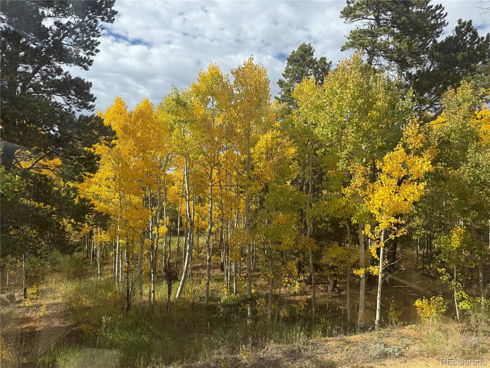 300 Badger Rd, Black Hawk, CO 80422
