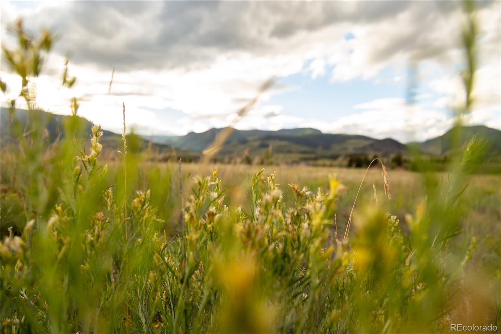 3940 Vista Grande Dr Lot 13, Creede, CO 81130