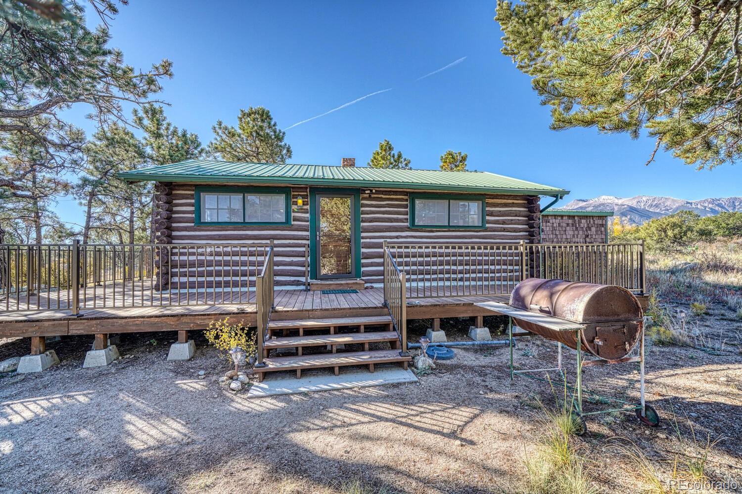 22450 County Road 287, Nathrop, CO 81236