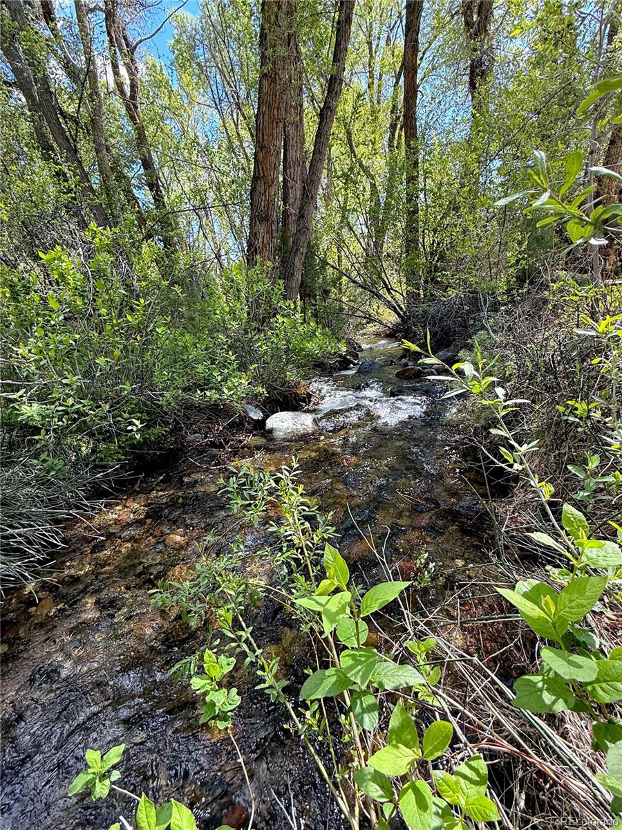 1408 County Road 48, Howard, CO 81233