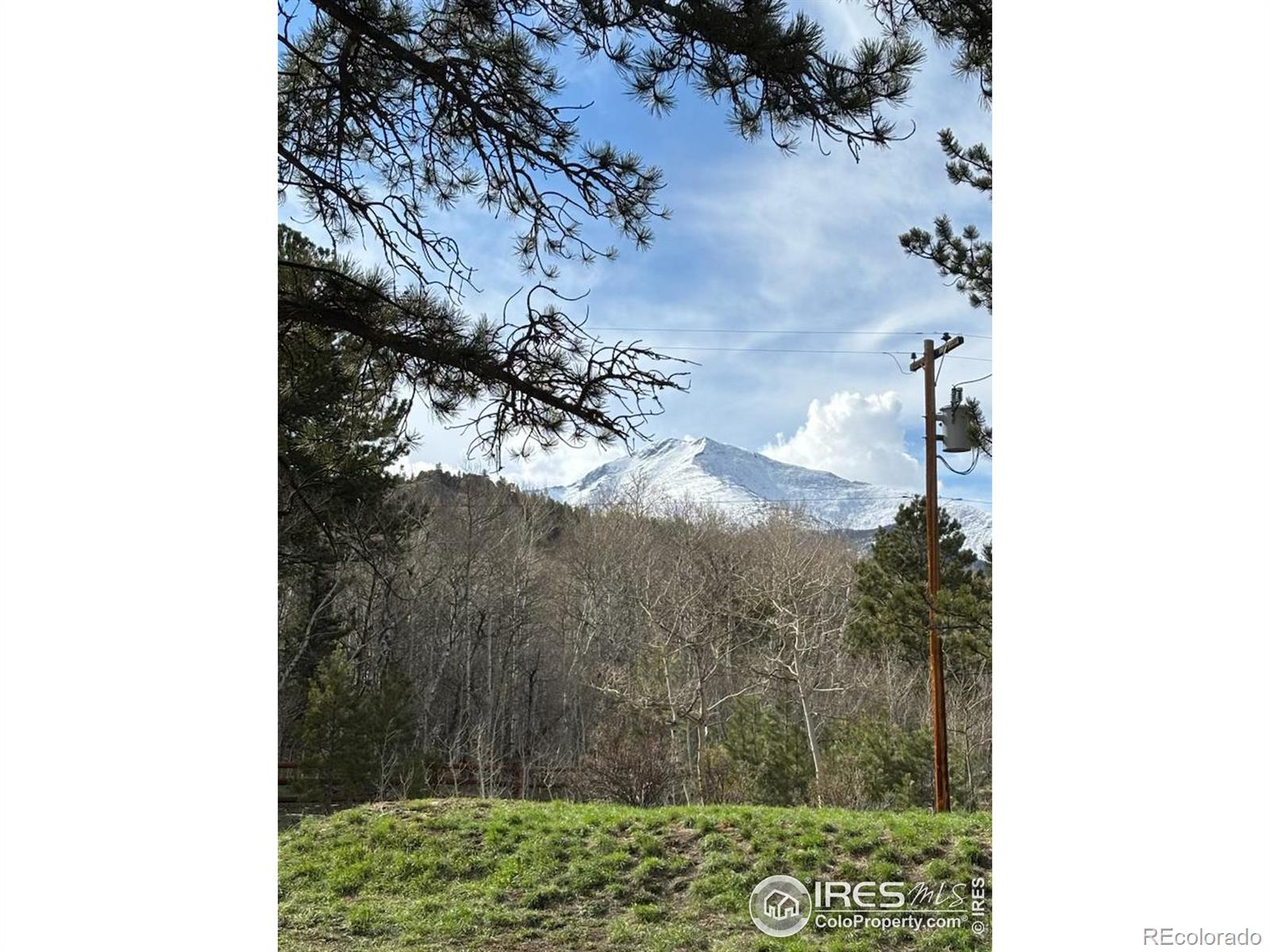 6 Norske Trl, Allenspark, CO 80510