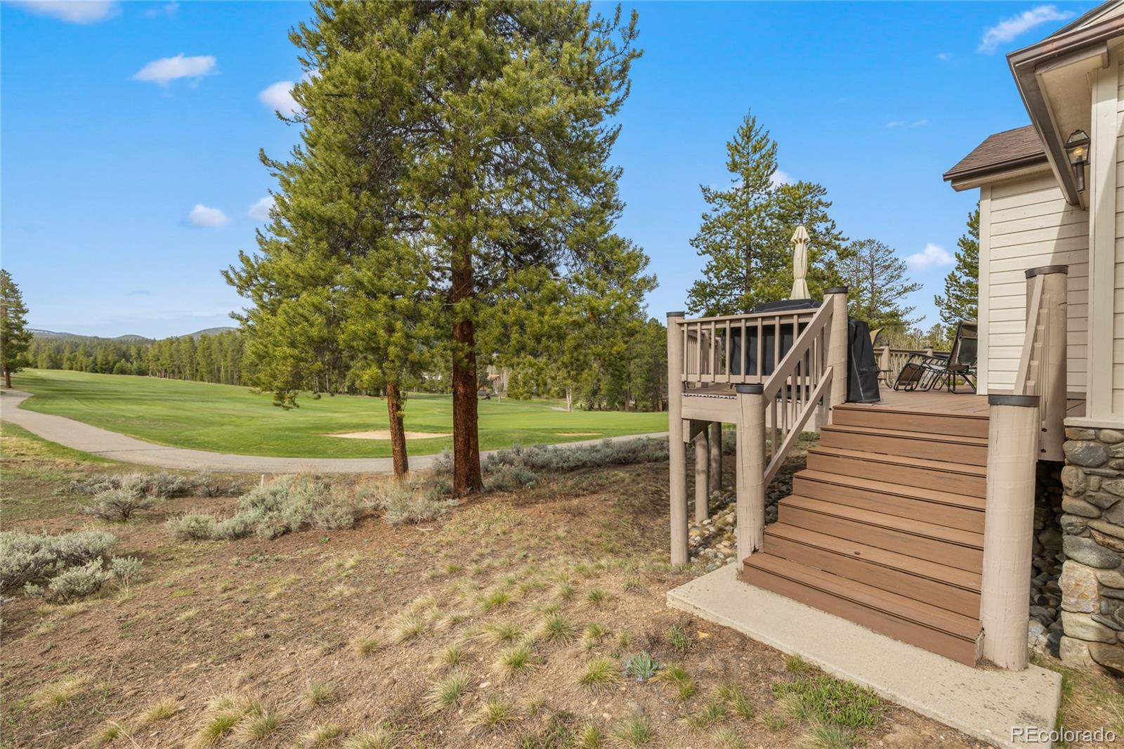 50 Lichen Ln, Dillon, CO 80435