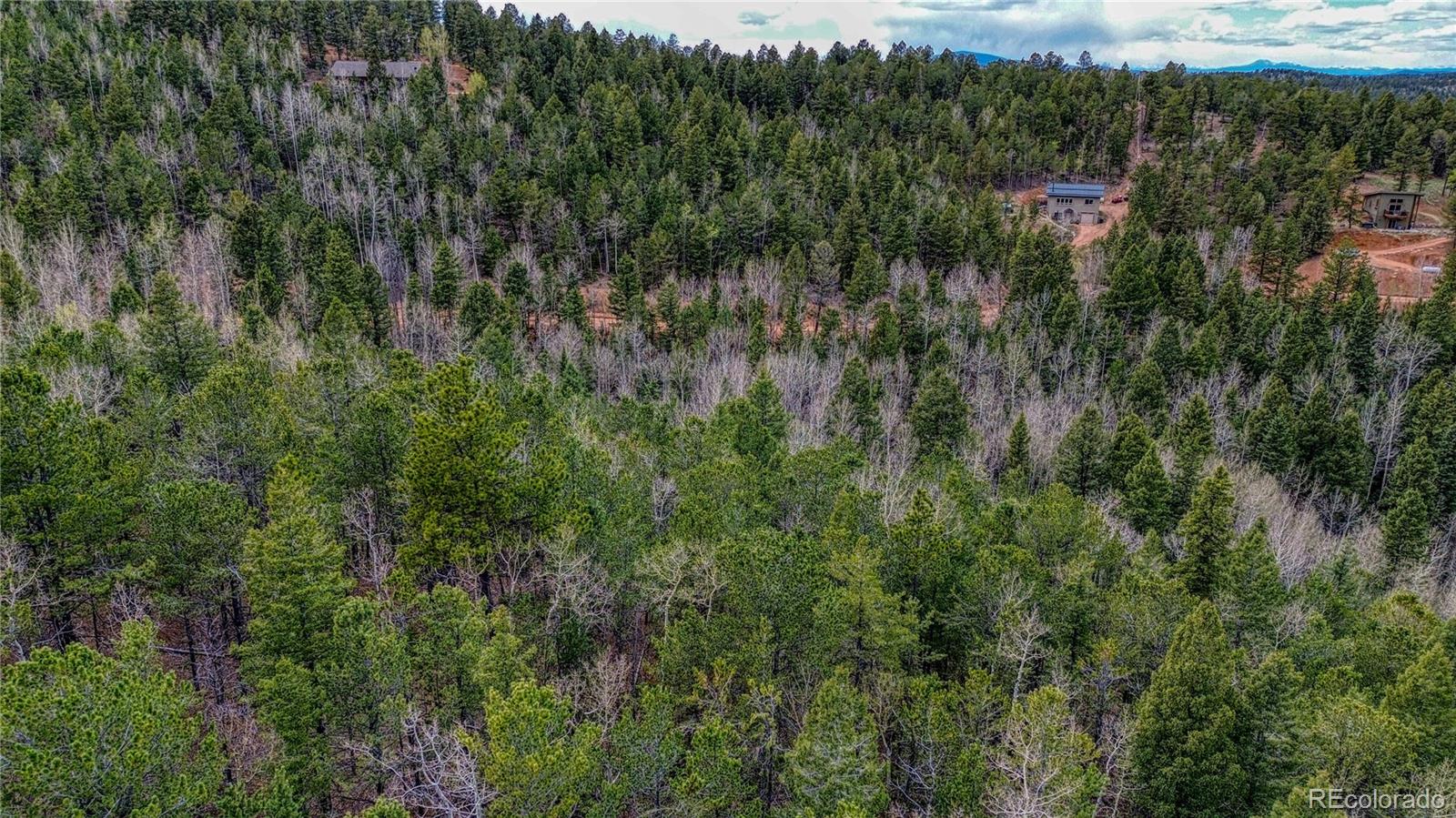 1218 Calcite Dr, Divide, CO 80814