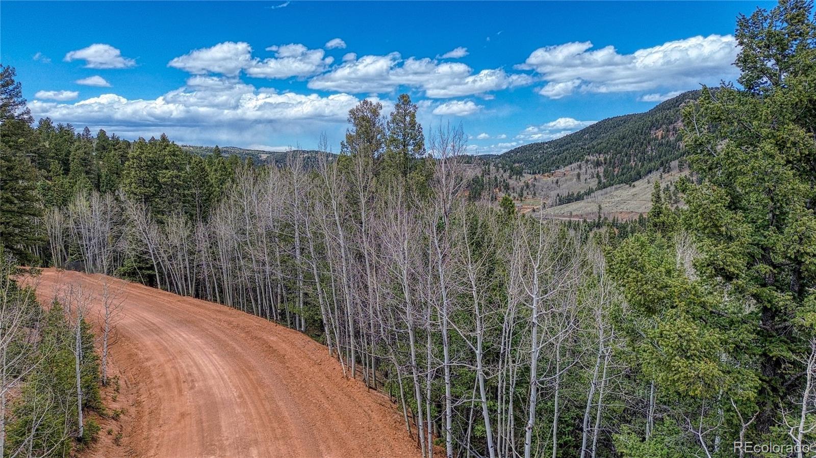 1218 Calcite Dr, Divide, CO 80814