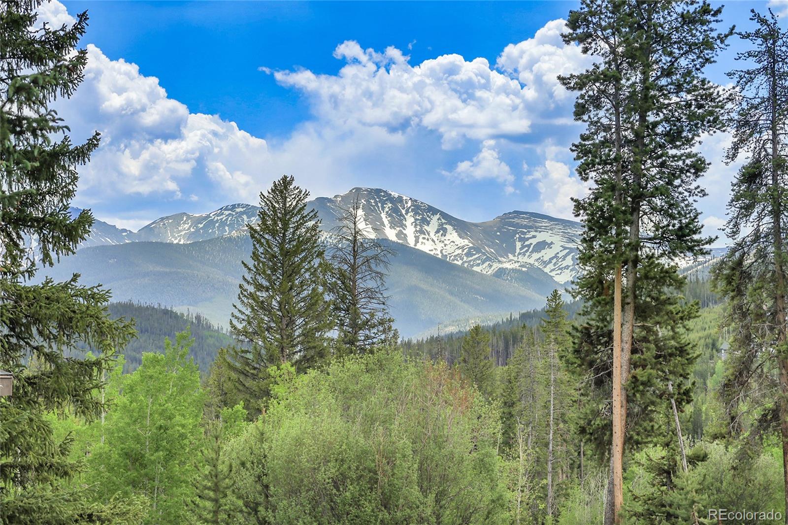 147 Forest Trl #3, Winter Park, CO 80482
