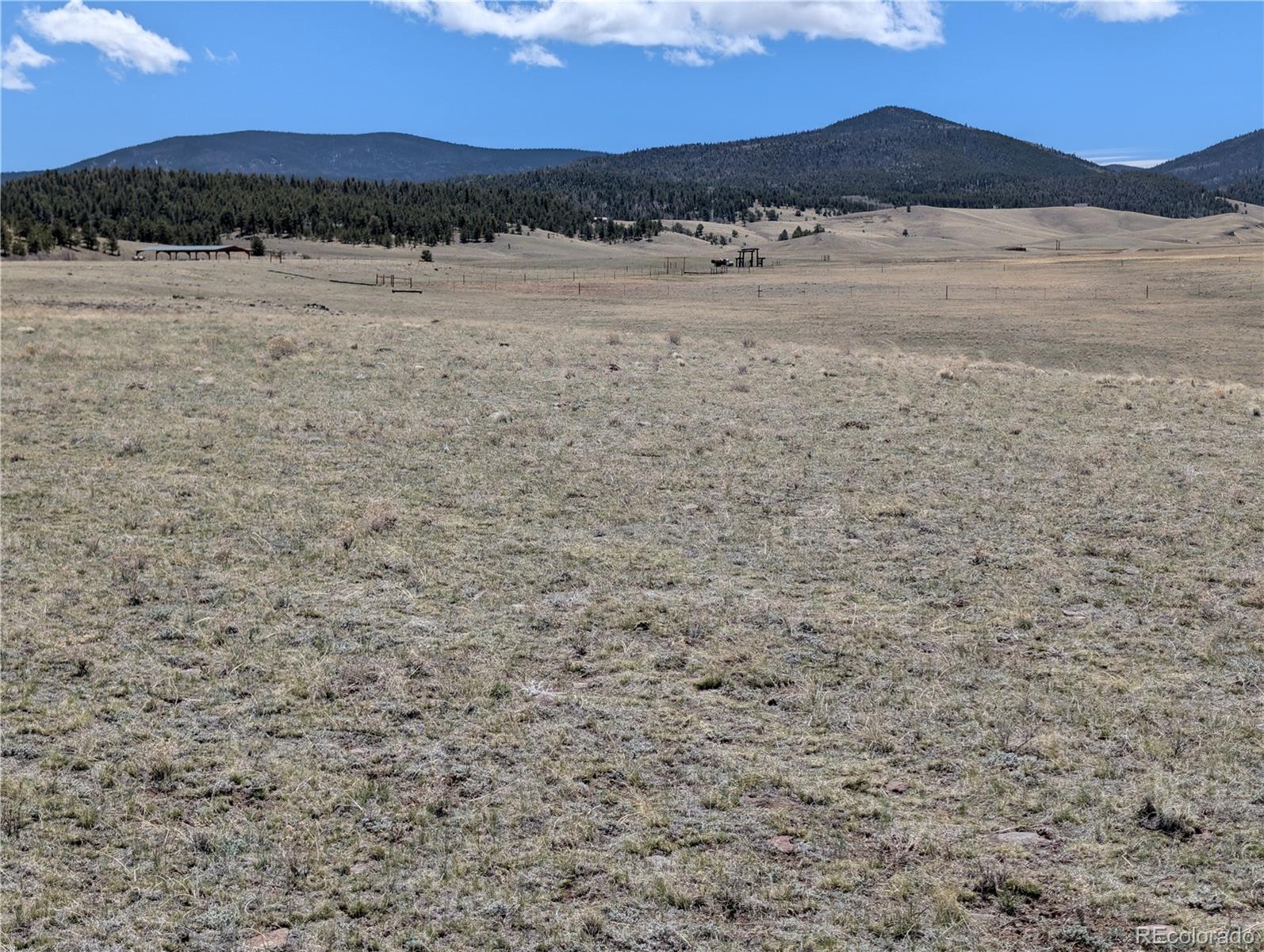 County Road 118 Lot 3, Hartsel, CO 80449