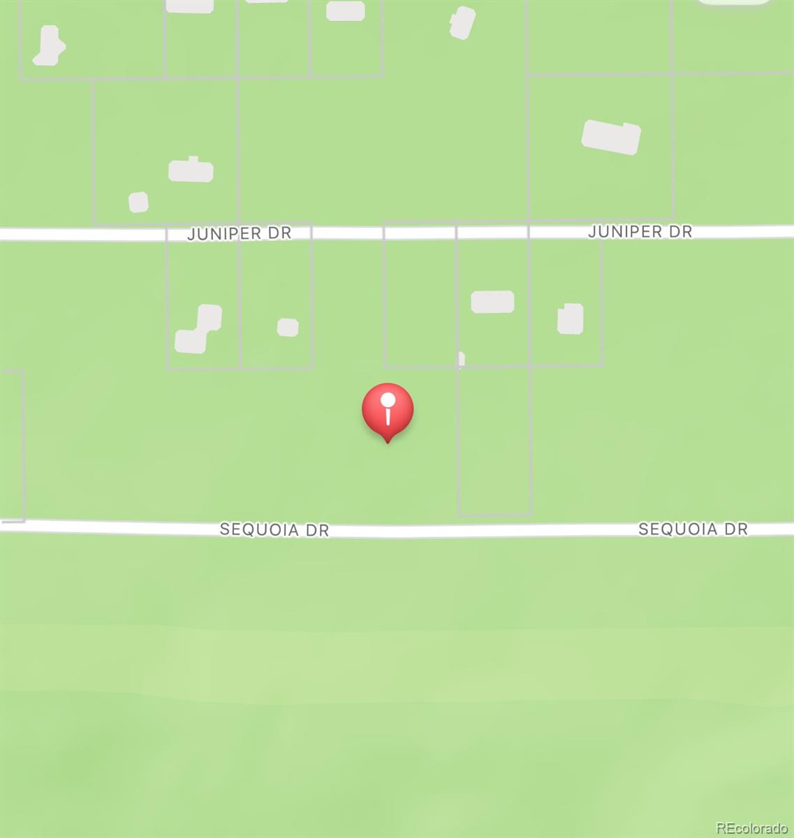 1127 Sequoia Dr, Twin Lakes, CO 80461