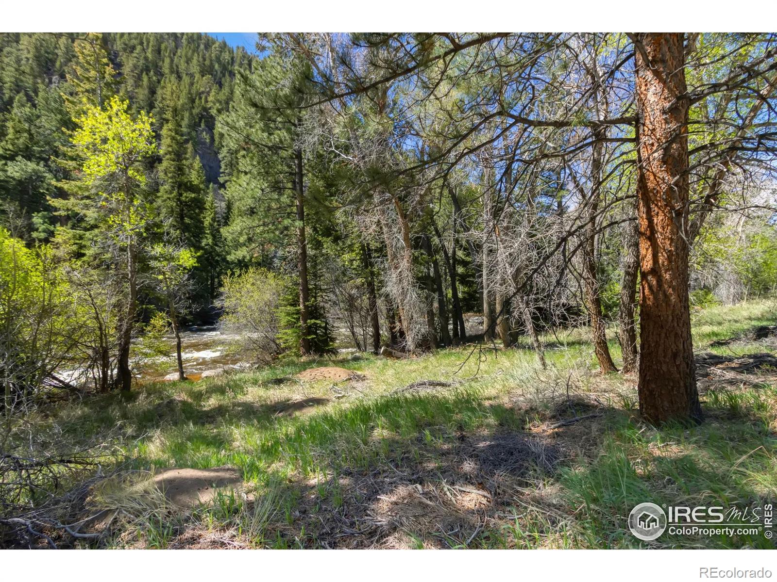 34828 W Highway 14, Bellvue, CO 80512