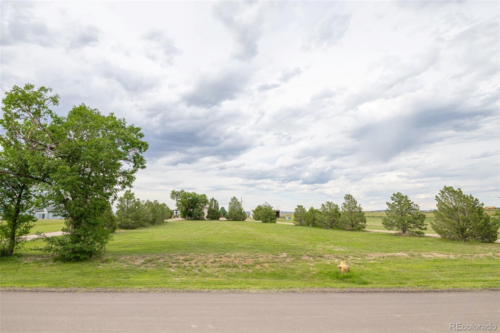 11170 Peaceful Valley Rd, Colorado Springs, CO 80925