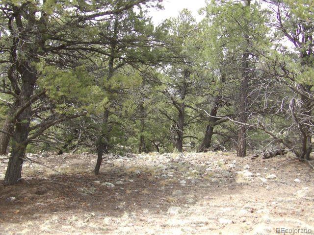 4186 Caprice Way, Crestone, CO 81131