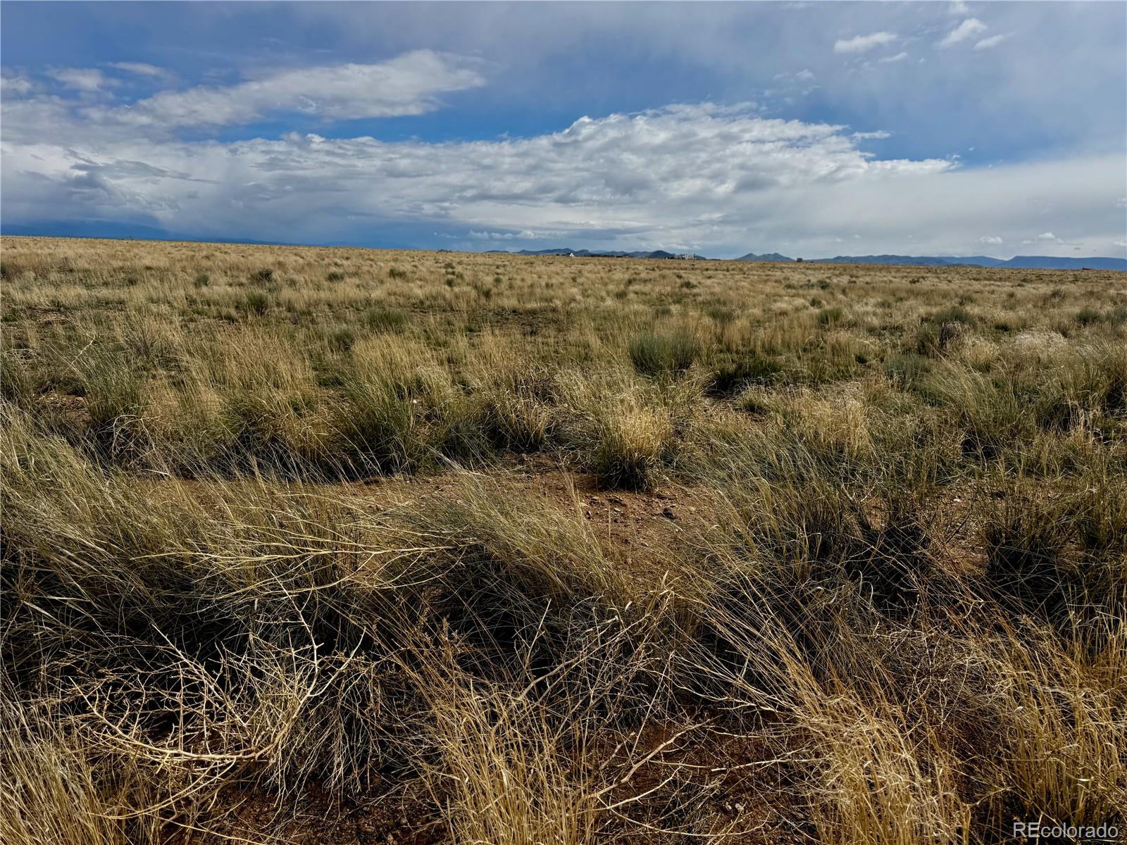 Lot 17 Dowd Rd, Blanca, CO 81133