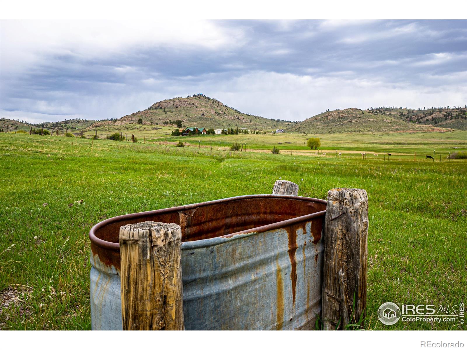 816 Meadow Way, Livermore, CO 80536