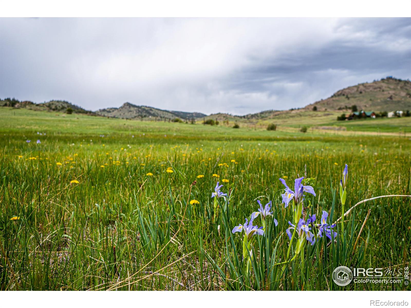 816 Meadow Way, Livermore, CO 80536