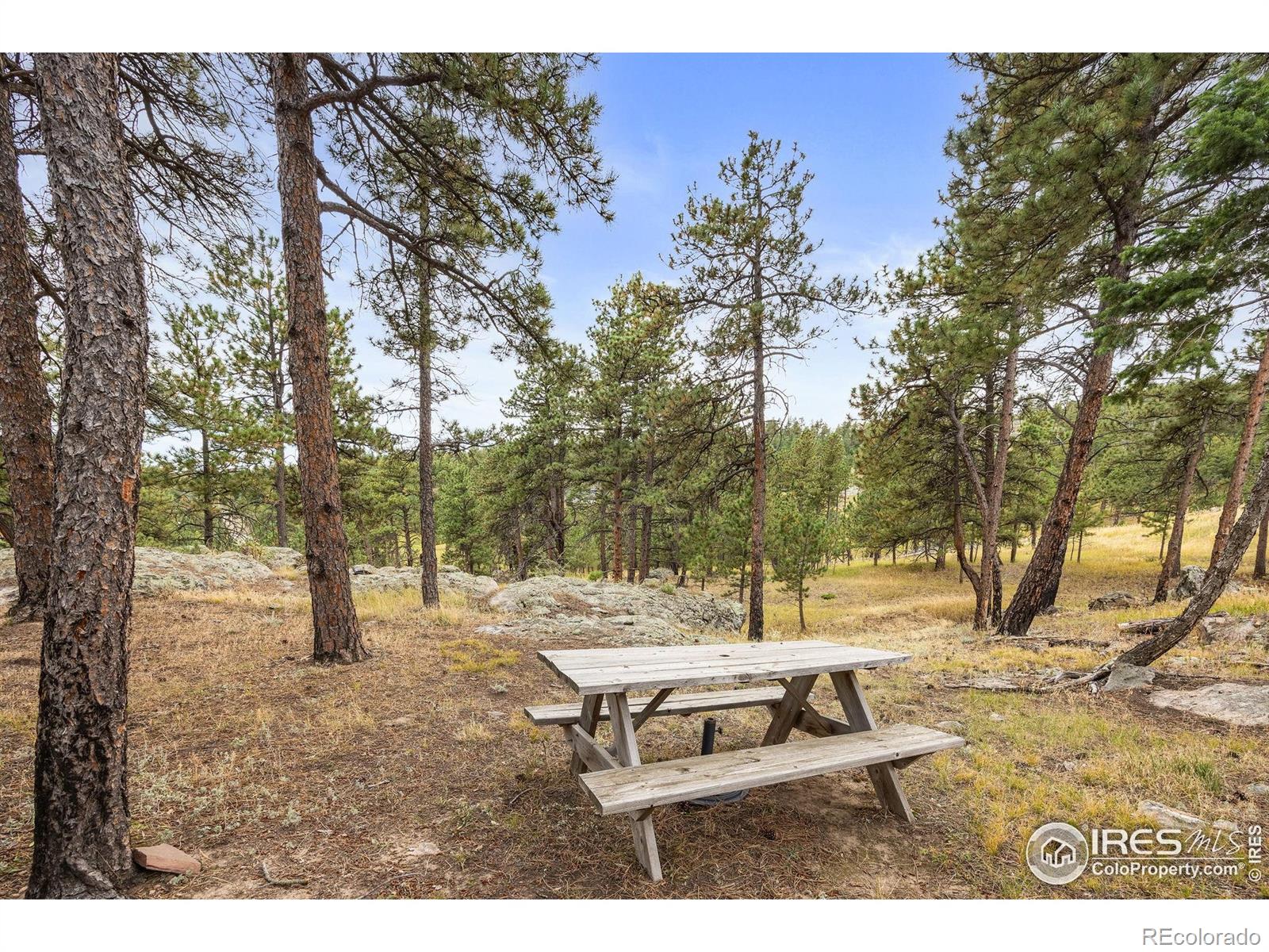 250 El Arbol Dr, Bellvue, CO 80512