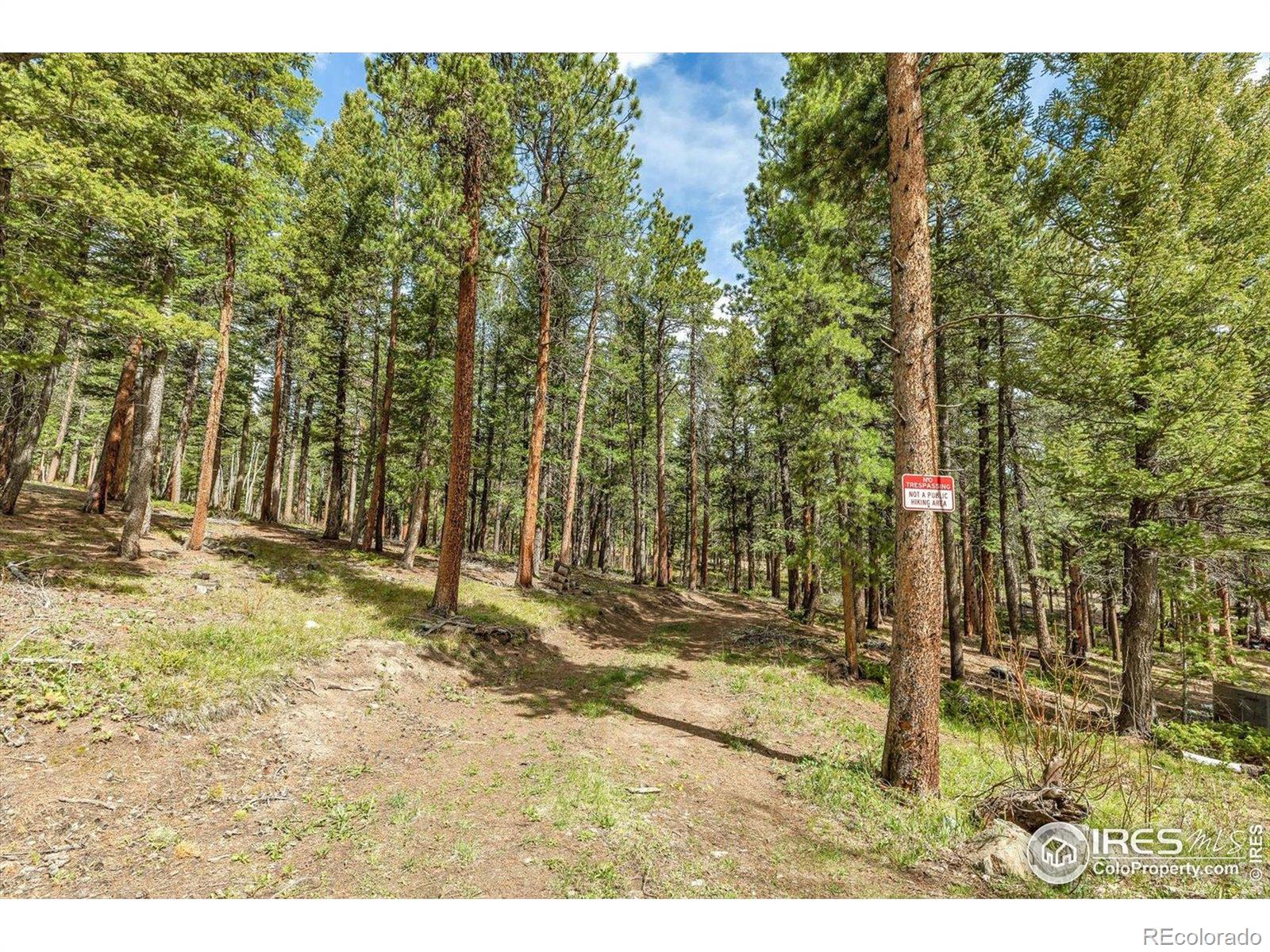 765 W 1st St, Nederland, CO 80466