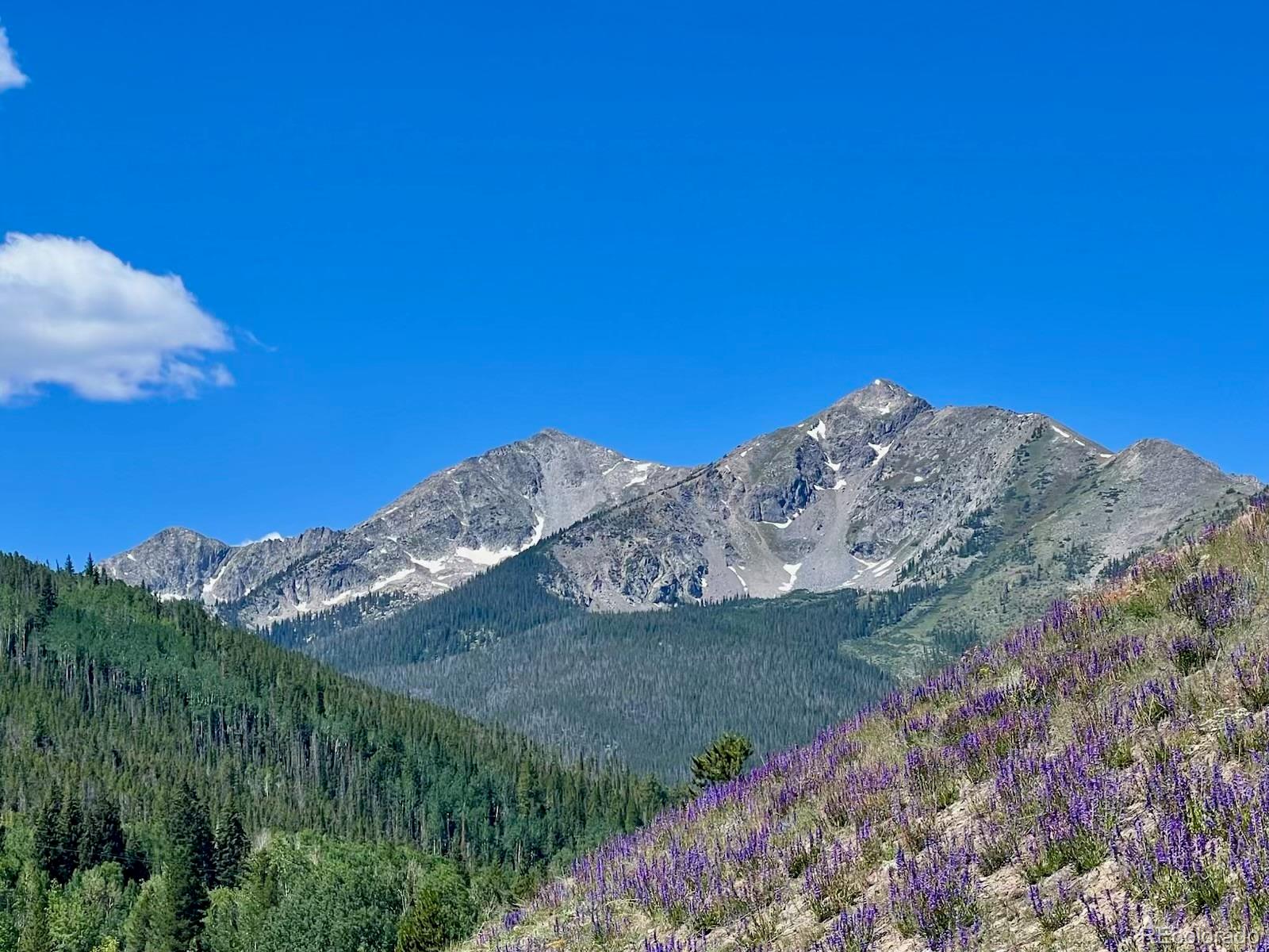 570 Bills Ranch Rd #335, Frisco, CO 80443