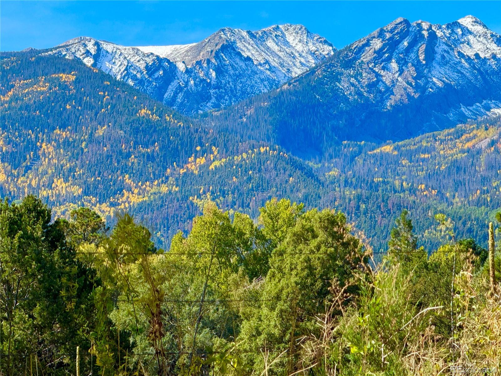 1638 County Road 46, Howard, CO 81233
