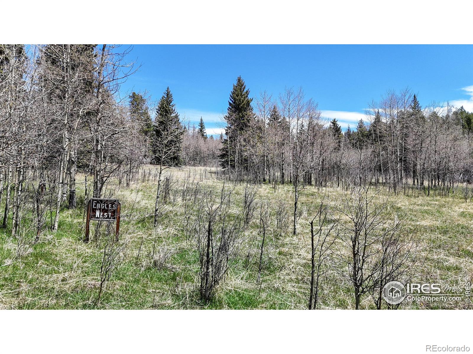 Galuchie Dr, Drake, CO 80515