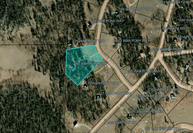 103 War Pony Way, Como, CO 80432