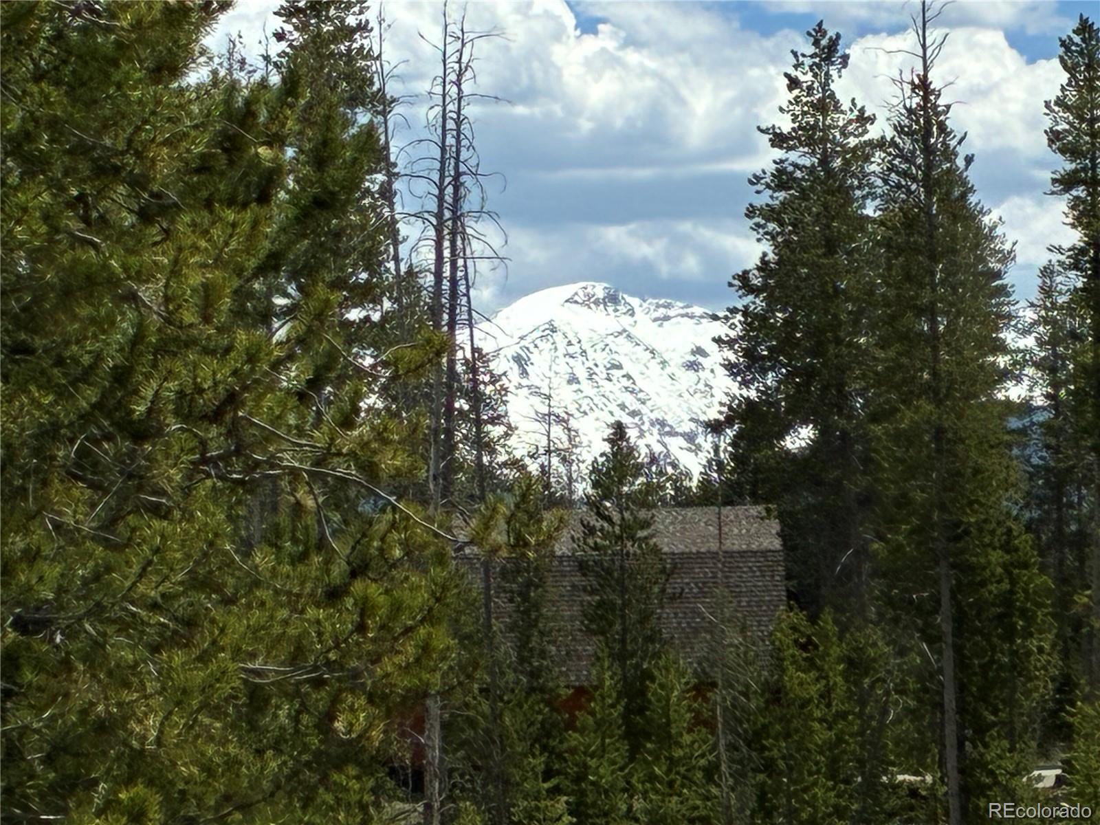 23976 County Rd 50, Fraser, CO 80442