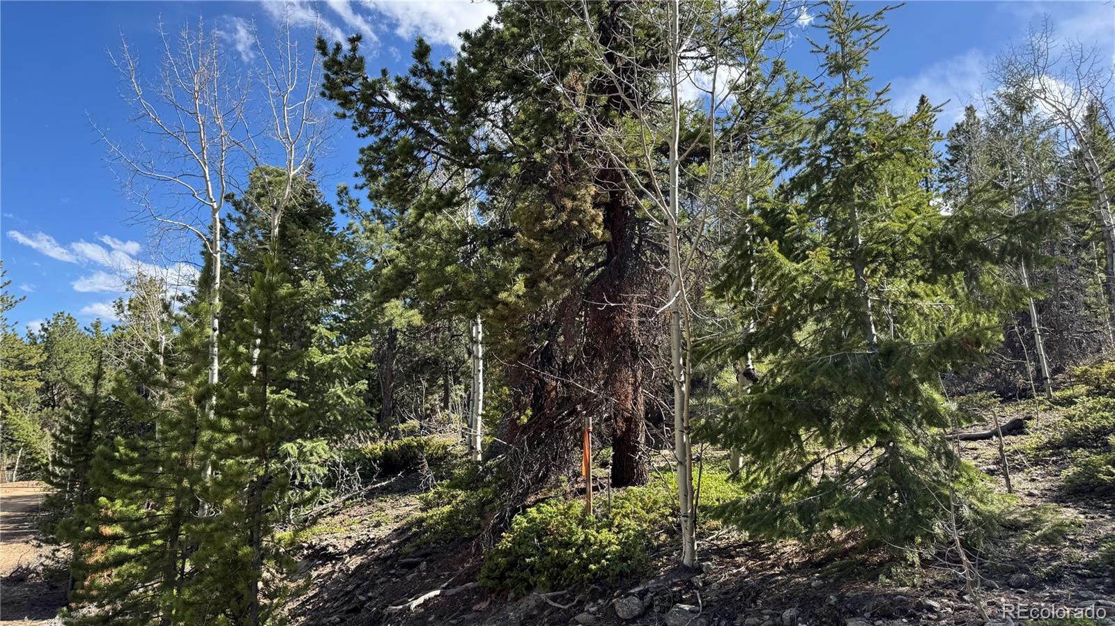 005 Church Placer Rd, Central City, CO 80427