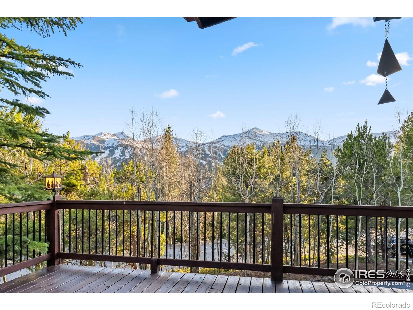 216 N Gold Flake, Breckenridge, CO 80424