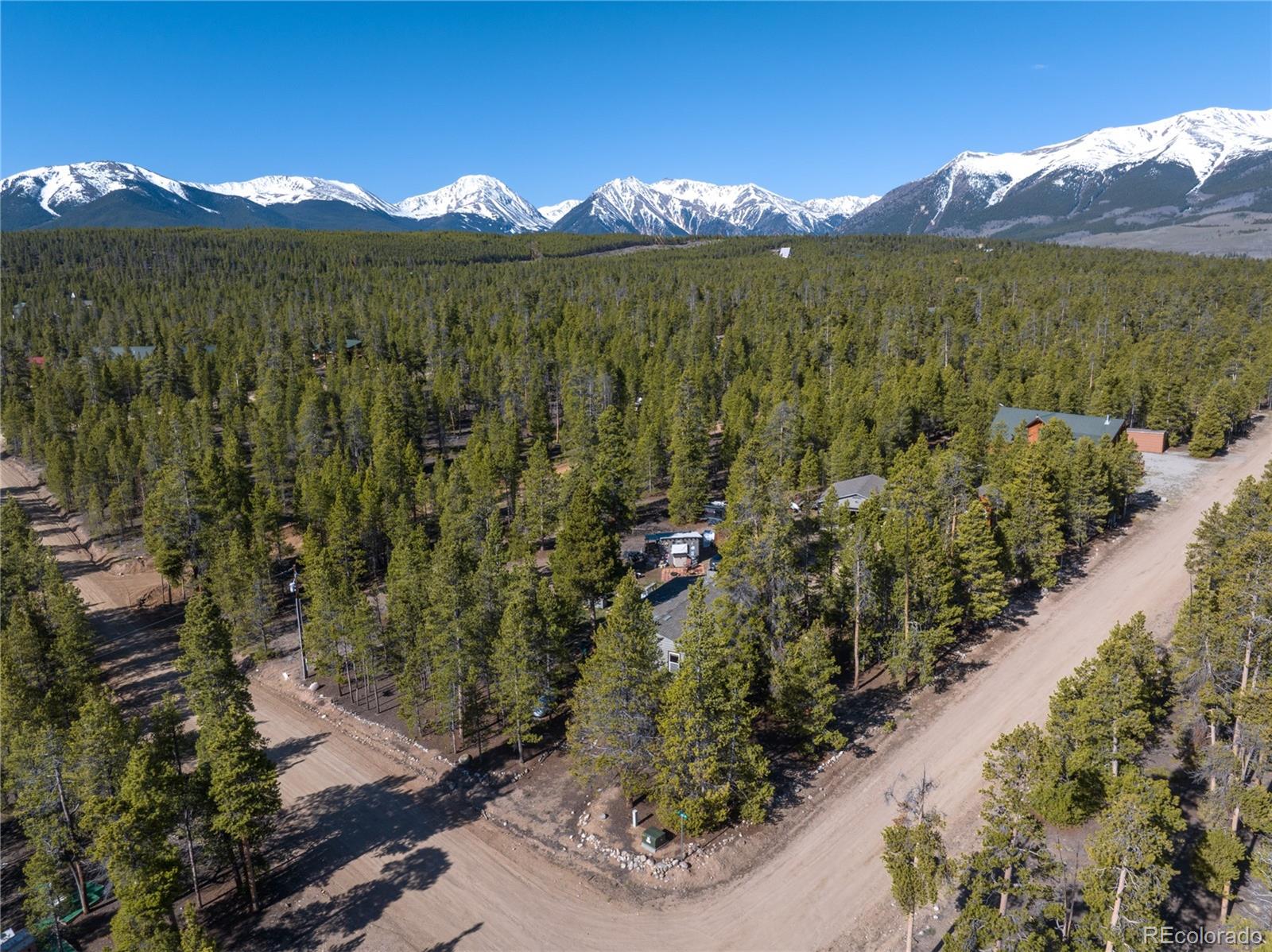 246 Spruce Dr, Twin Lakes, CO 81251