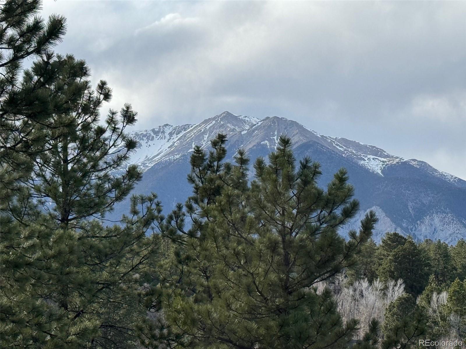 14320 County Road 261h, Nathrop, CO 81236