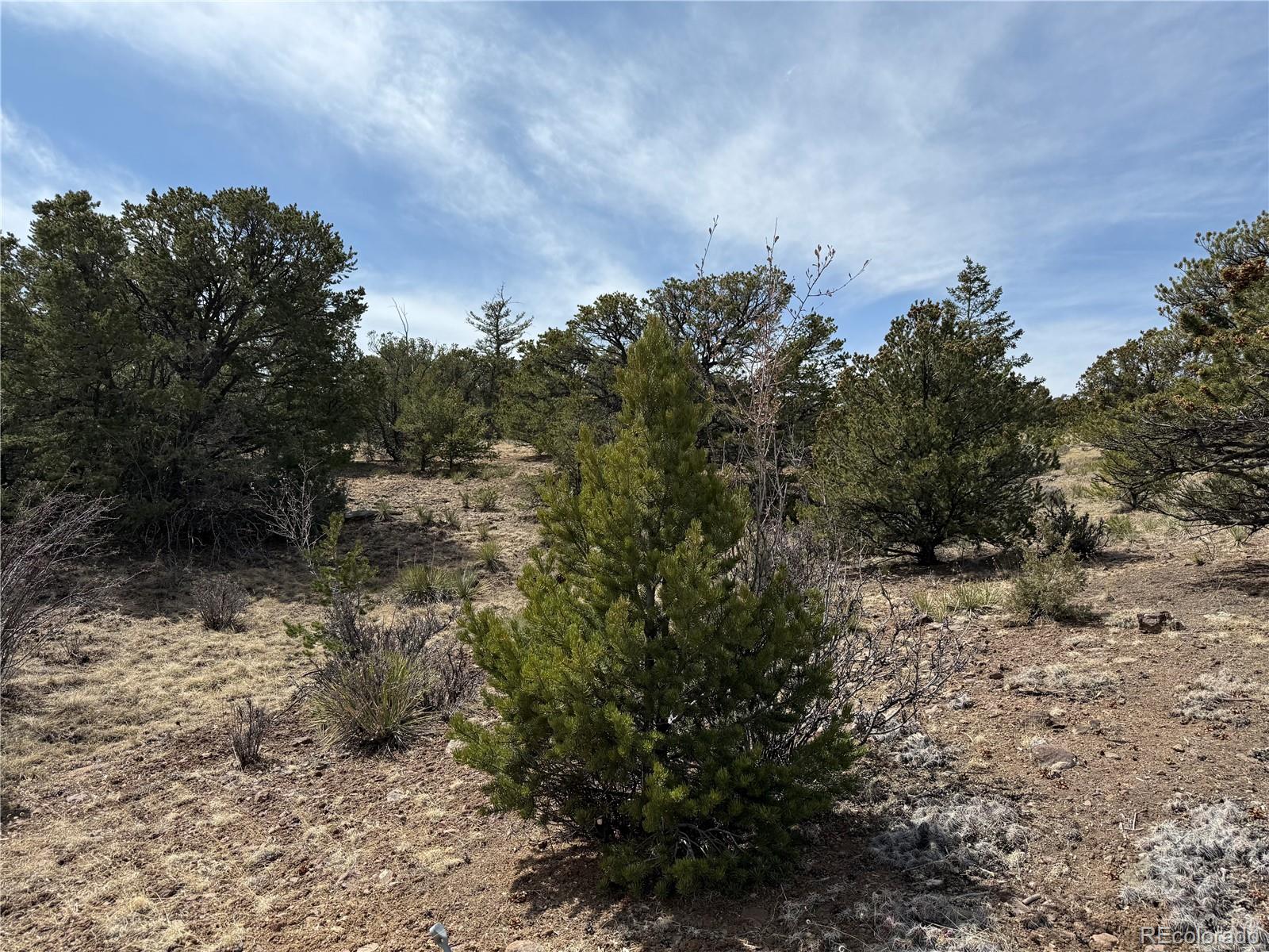673 Hidden Valley Rd, South Fork, CO 81154
