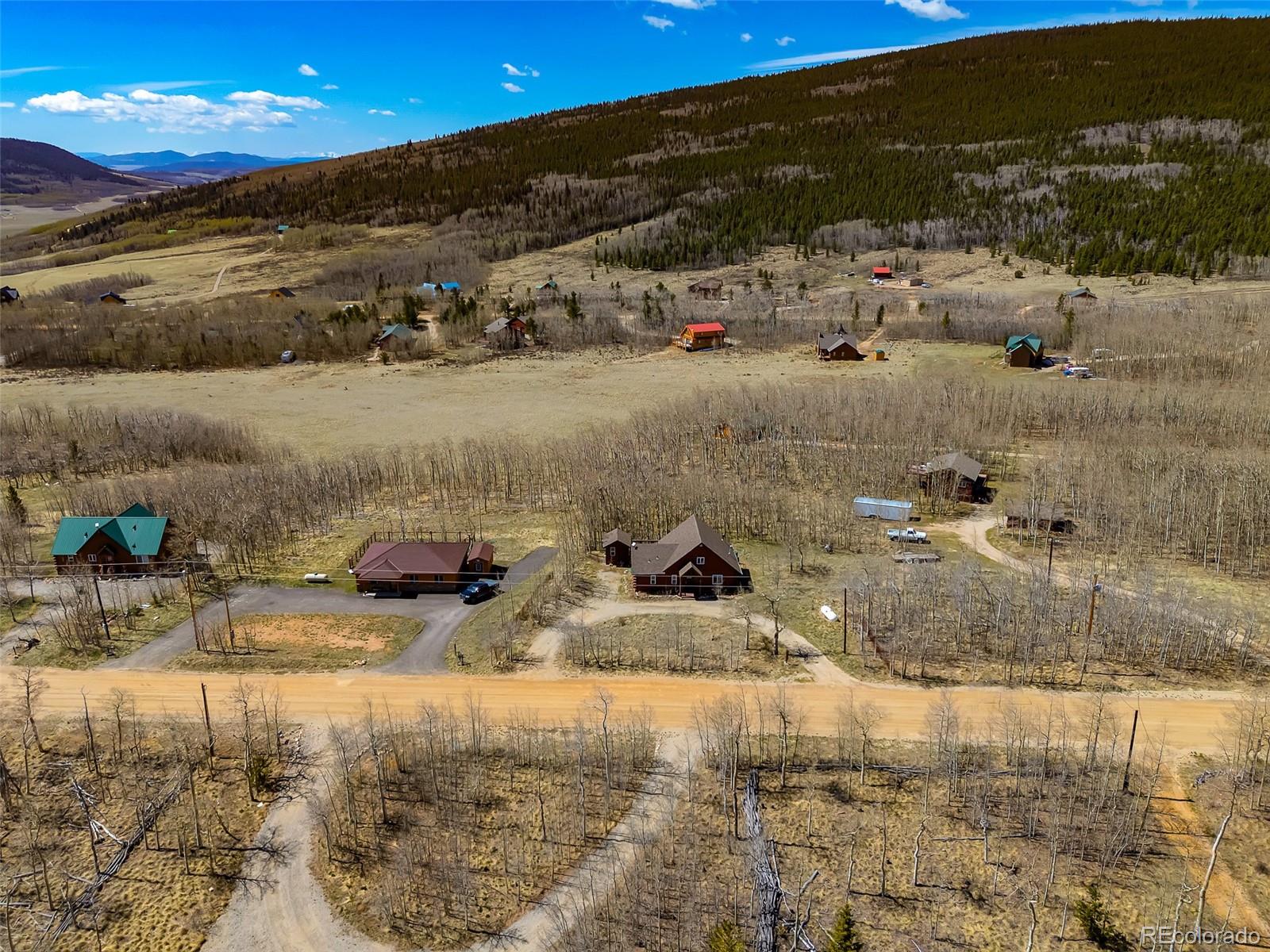 82 Sheep Ridge Rd, Fairplay, CO 80440
