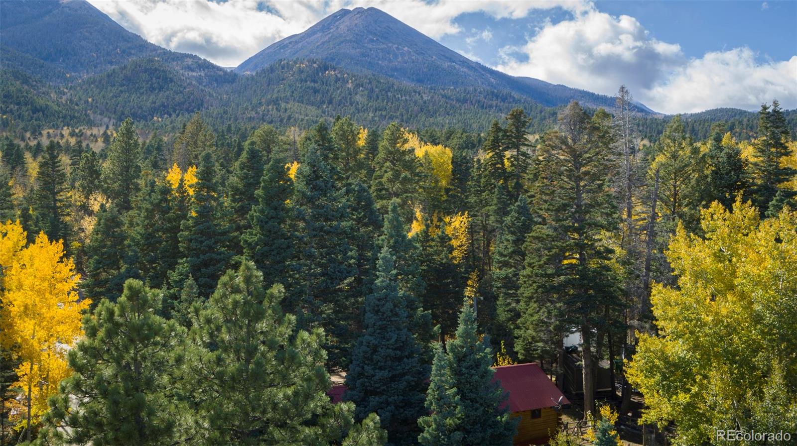 4745 Forest Ln, Howard, CO 81233