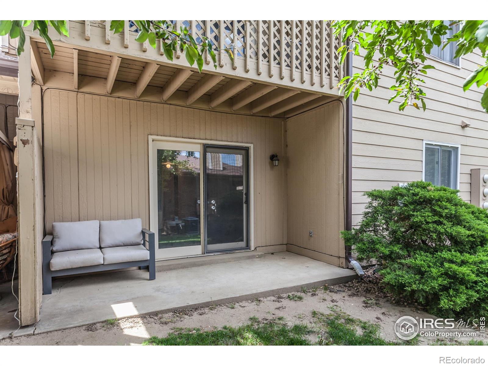 909 Conifer Ct #3, Windsor, CO 80550