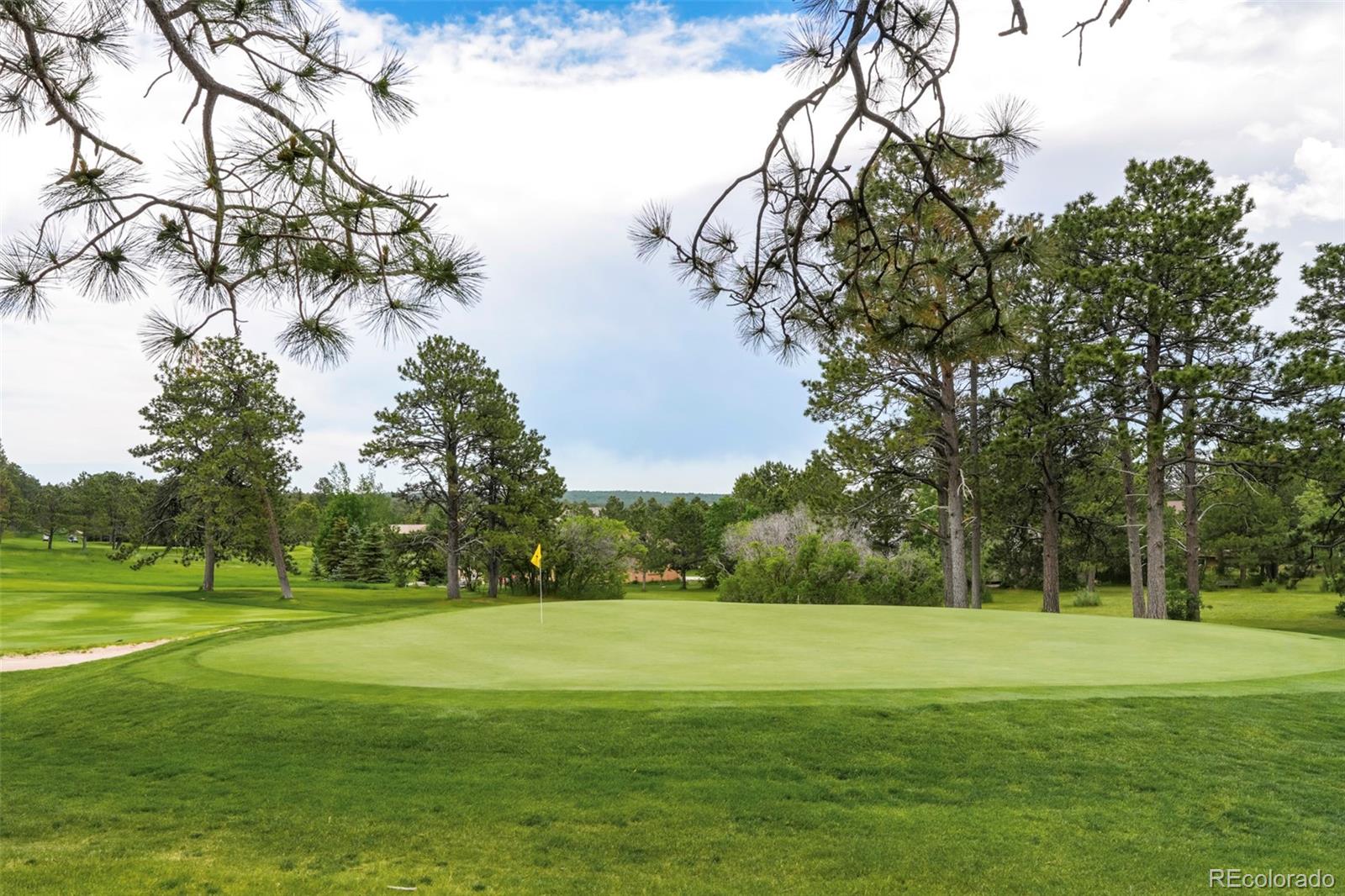 18910 Augusta Dr, Monument, CO 80132