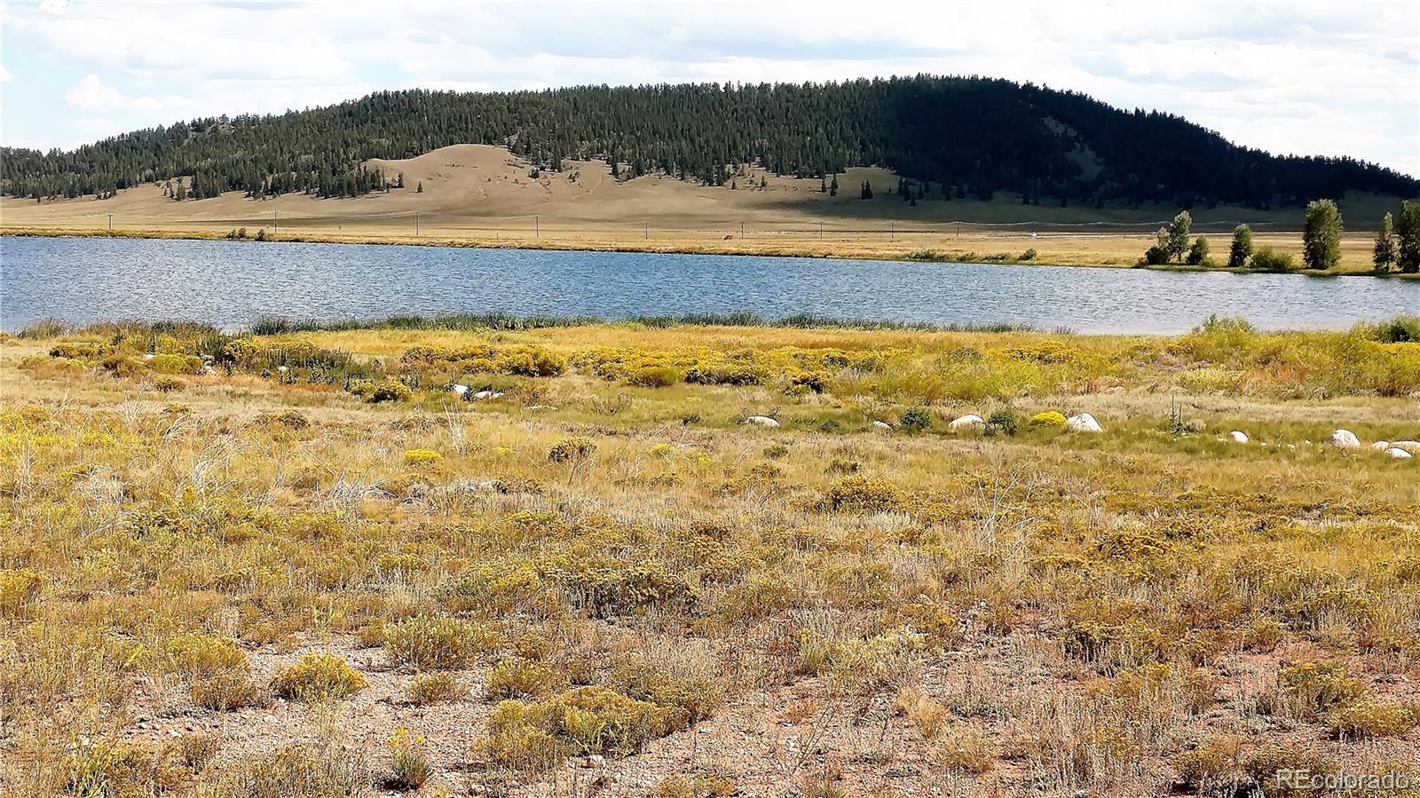 7493 Ranch Rd Lot 0835, Hartsel, CO 80449