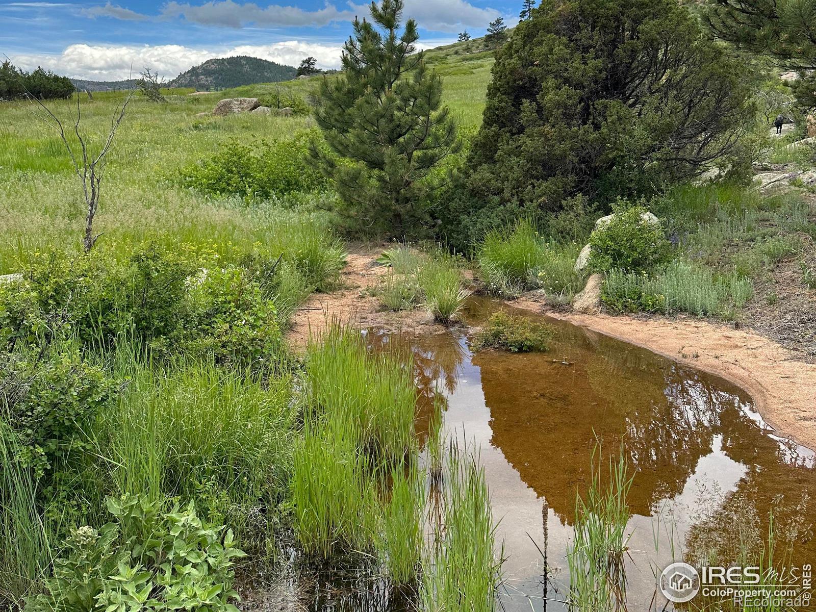 2302 W County Road 82e, Livermore, CO 80536
