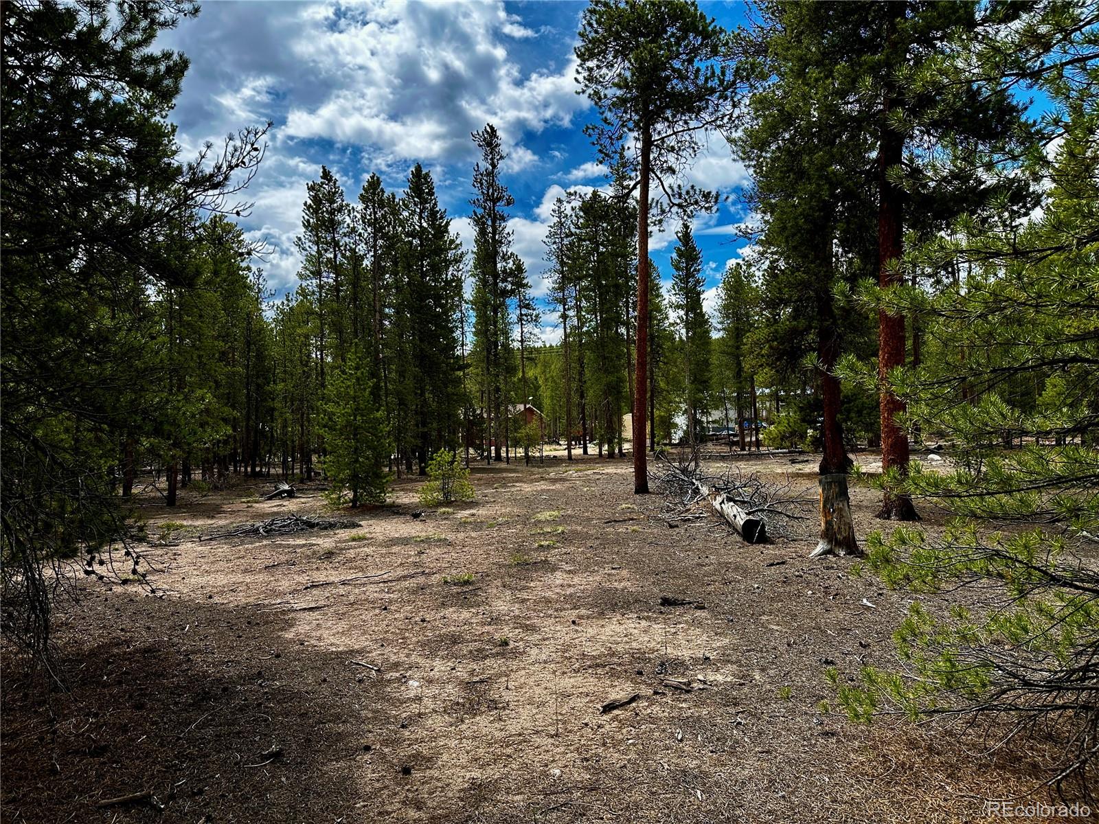 644 Birch Dr Lot 485,486,555,556, Twin Lakes, CO 80461