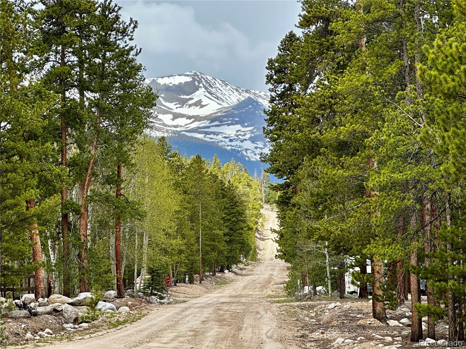644 Birch Dr Lot 485,486,555,556, Twin Lakes, CO 80461